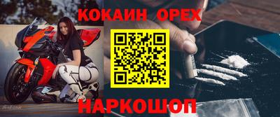 круглые Кингисепп