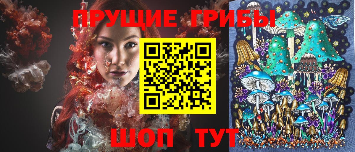 Галлюциногенные грибы Psilocybine cubensis  Вход с VPN  Кохма 